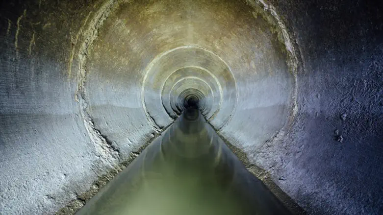 Sewer (archive)