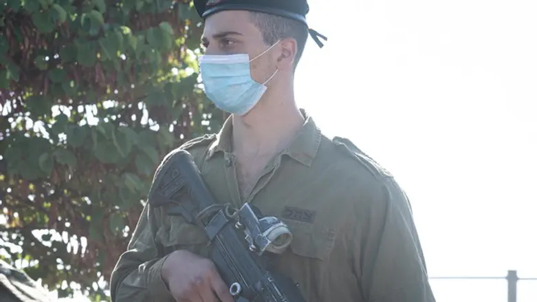 תומר ויינר