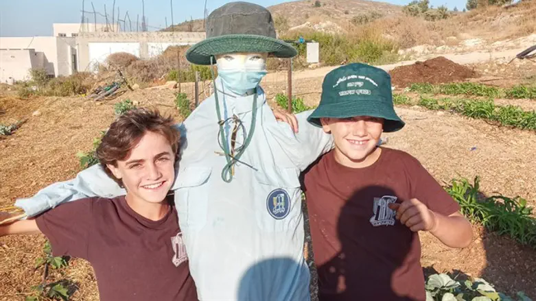 הדחליל והחולצה