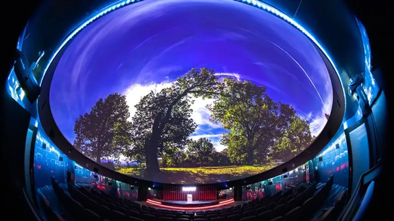 קולנוע  ב 360