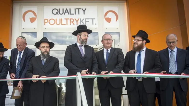 Csengele kosher slaughterhouse opening