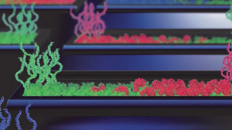 תאים מלאכותיים על שבב