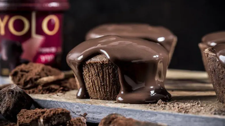 Chocolate Cupcakes with YOLO Topping