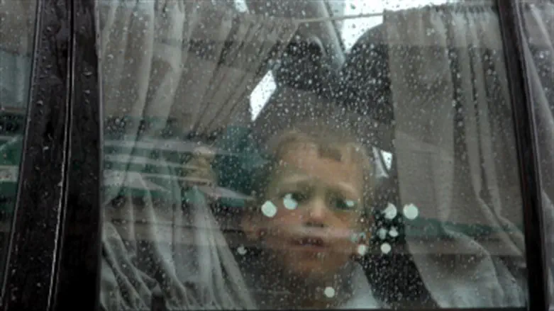 Ребенок в машине (файл)