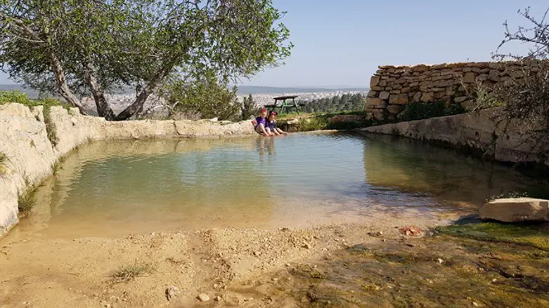 עין אבו כלאב