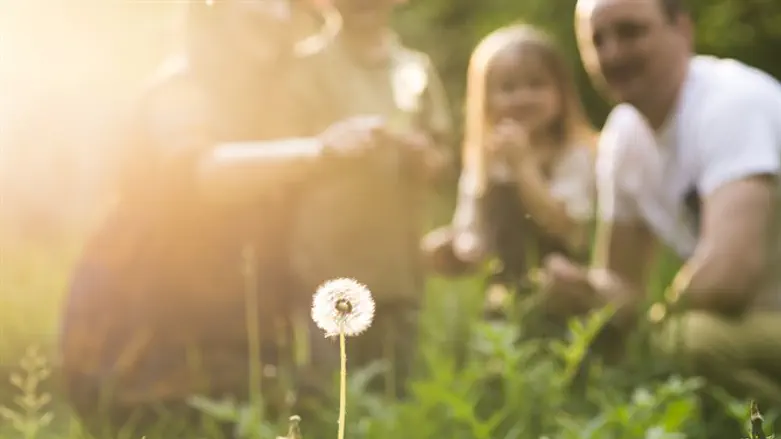 זמן זה חיים