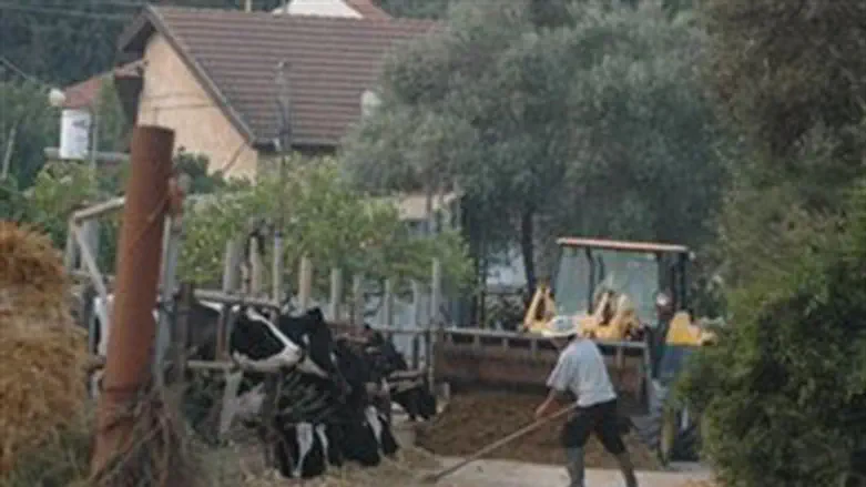 אילוסטרציה