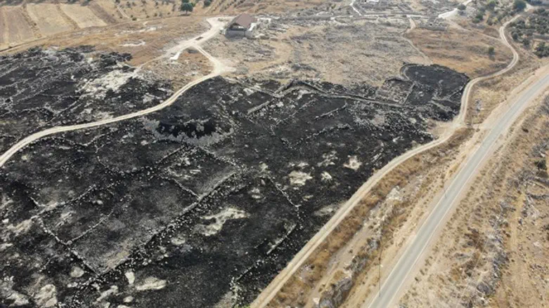 השטח שהוצת באתר סוסיא