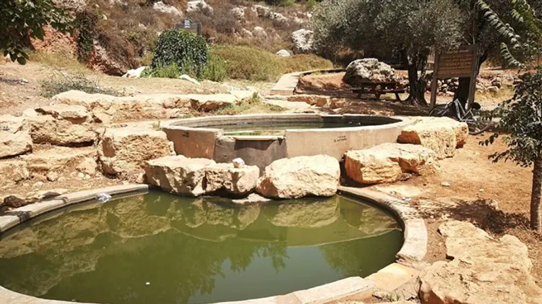 מעיין עין סג'מה בגוש עציון