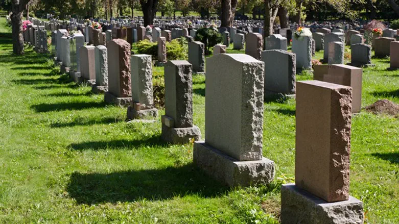 הרבה מסתתר מתחת לאדמה