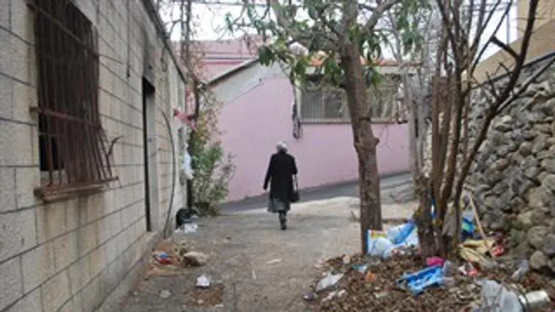 פקיעין