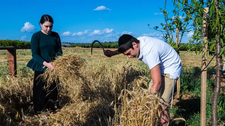 Kids in field