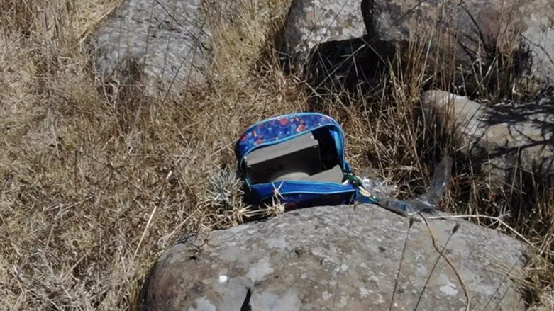 Сумка со взрывными устройствами