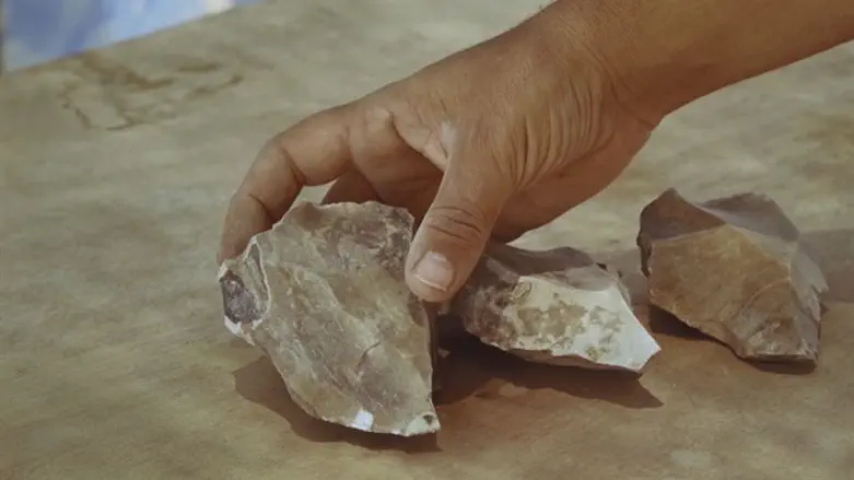 Stone tools discovered at the site