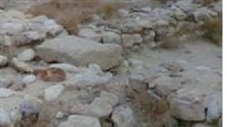 החפירות במקום