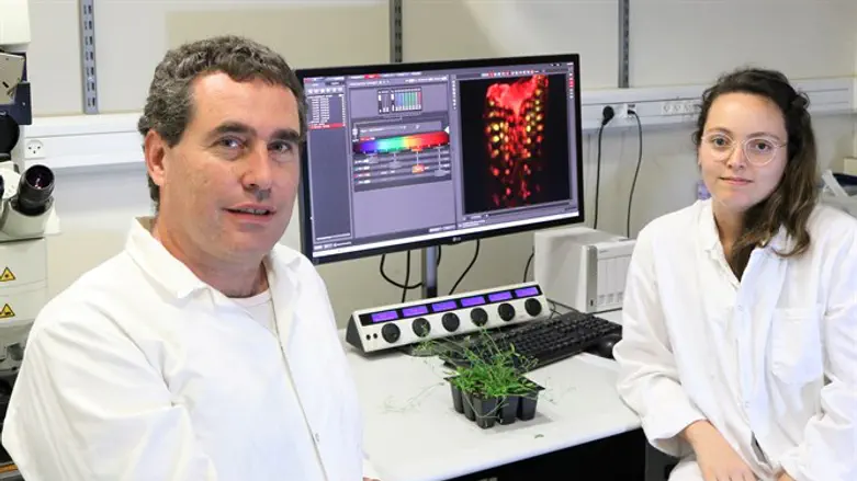 רותם מטוסביץ וד"ר עידן עפרוני