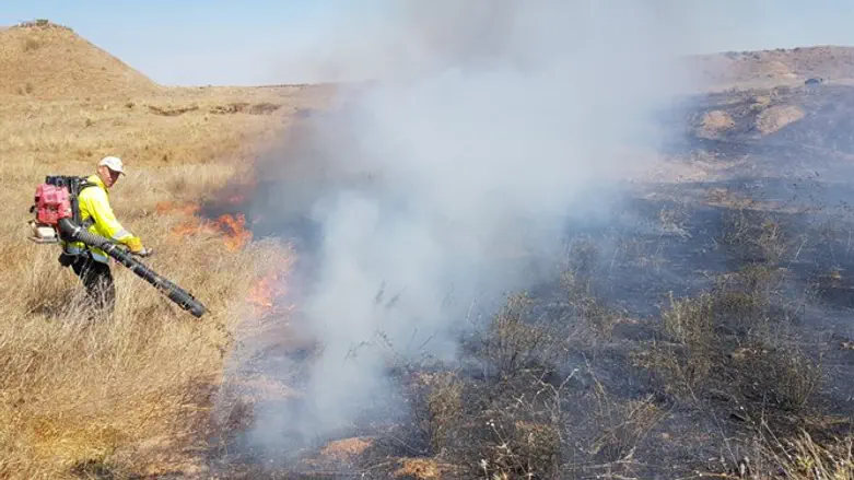 fire in Beeri Forest
