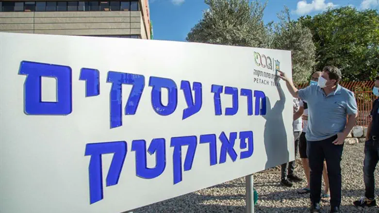 גרינברג מסיר את הלוט