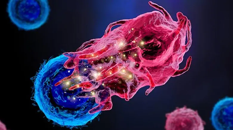 הטכנולוגיה שתאפשר 'הצצה' לתאים חיים