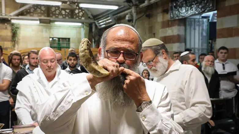 עלייה משמעותית בחודש האחרון במספר הרכישות של שופרות. צילום אילוסטרציה