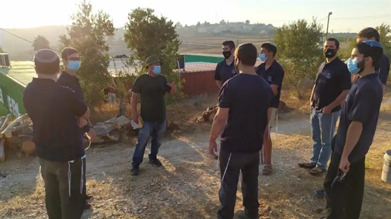 סמינריון חב"ב