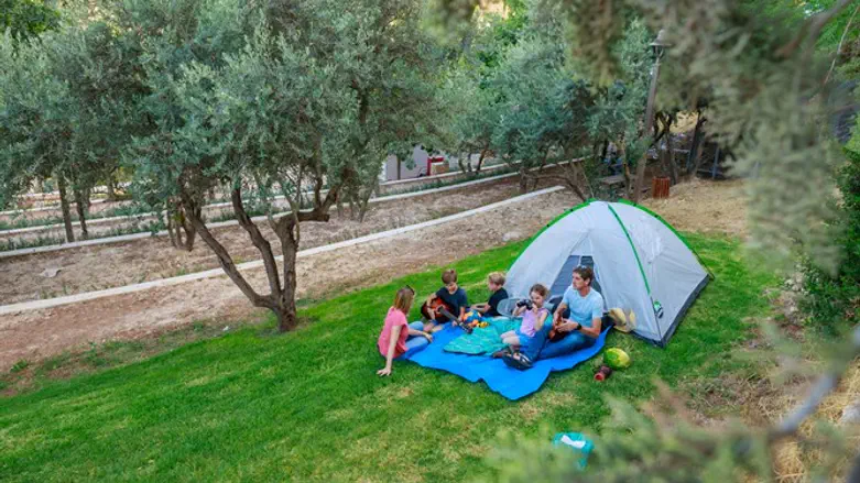 מתחם הקמפינג