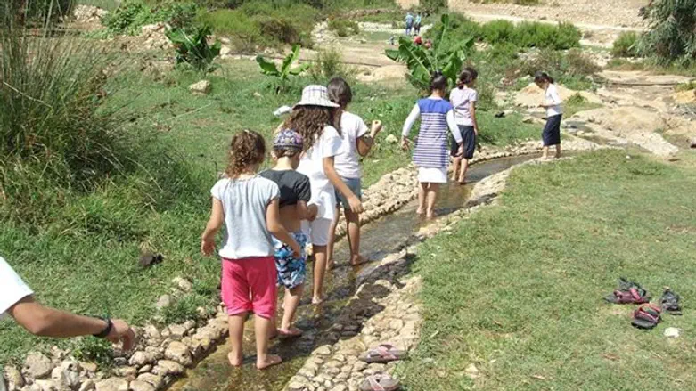 תרבות בשומרון   