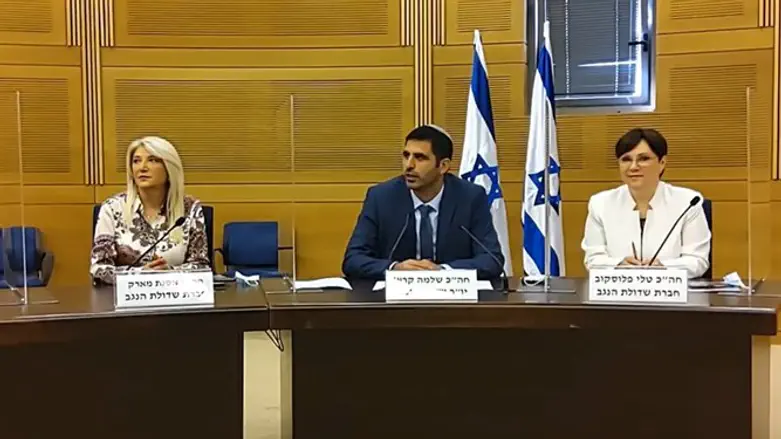 הקמת שדולת הנגב