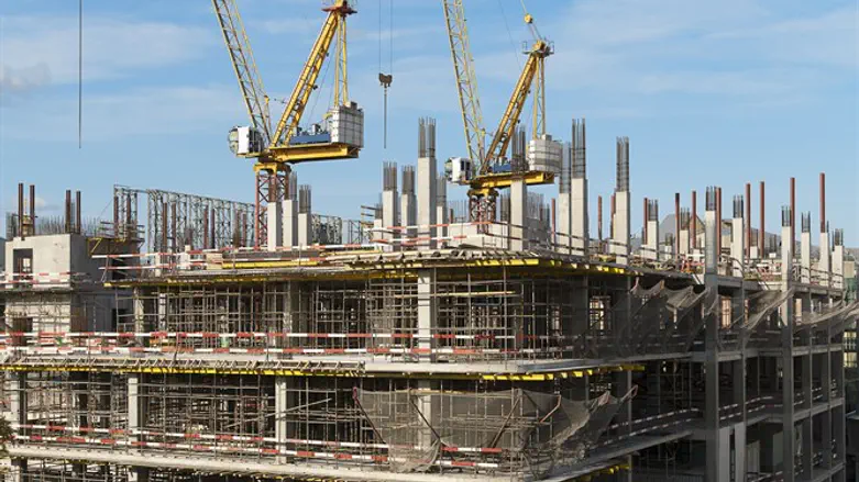 rex-ekaireb-business