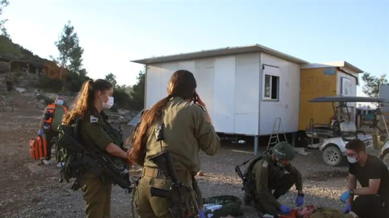 הכוחות בתרגיל