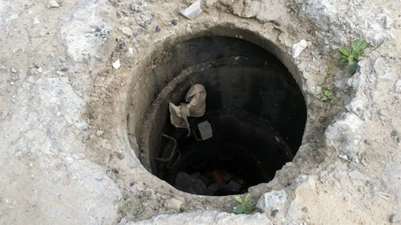 אילוסטרציה