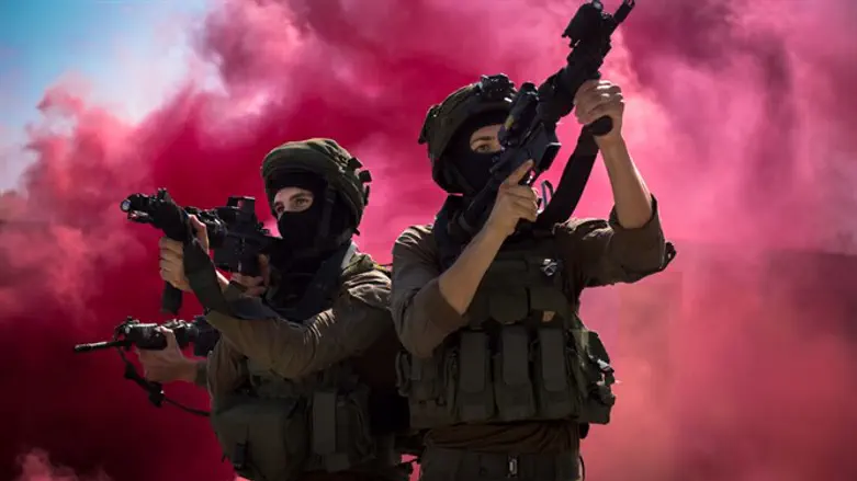 מי יהיה "אלוף האלופים"?
