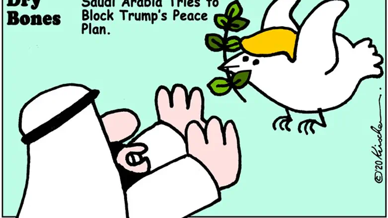 Dry Bones - S. Arabia blocks Peace Plan