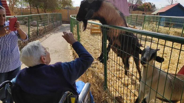 מגשימים את החלום