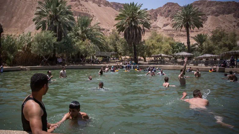 עיינות צוקים