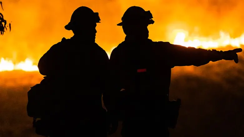 firemen (illustration)
