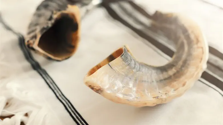 shofar