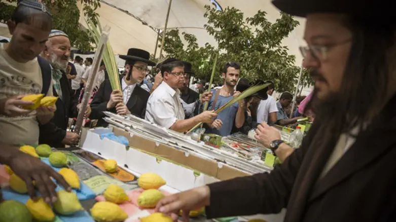 Подготовка к Сукккоту