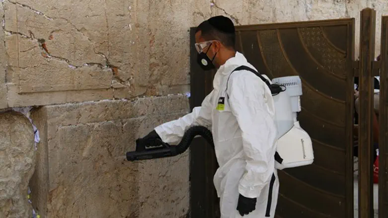 חיטוי האבנים