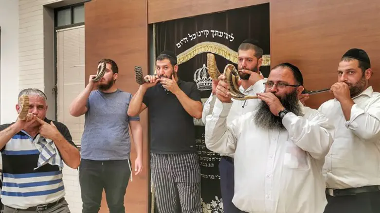 סדנת השופרות של חב"ד