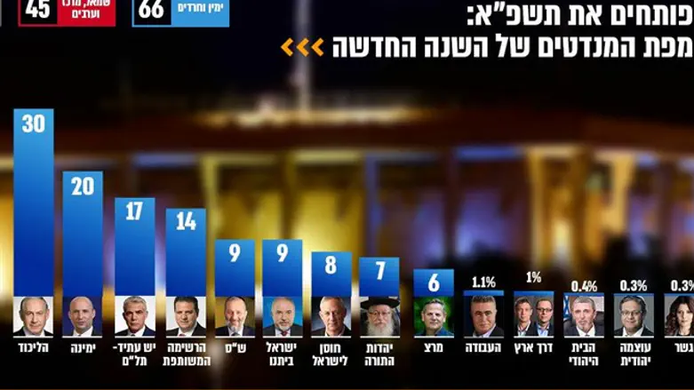 סקר דיירקט פולס