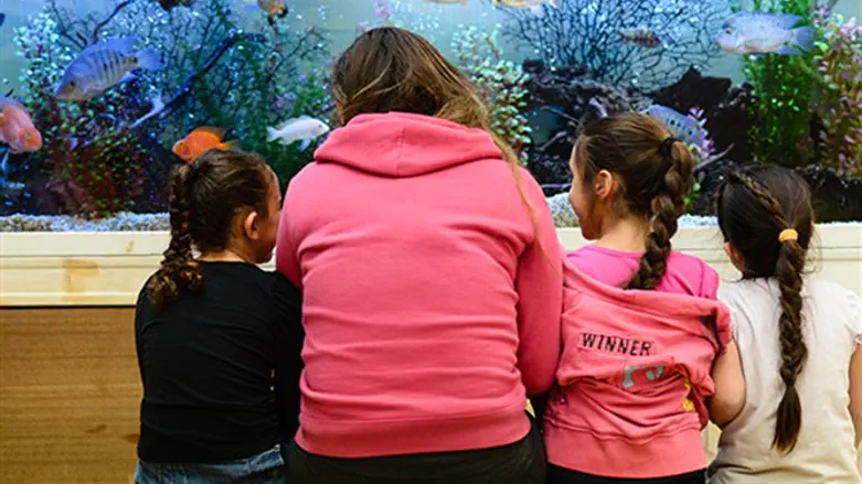 BREAKING THE CYCLE OF DISTRESS