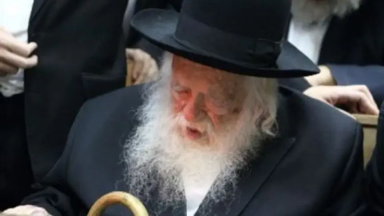 Rav Chaim