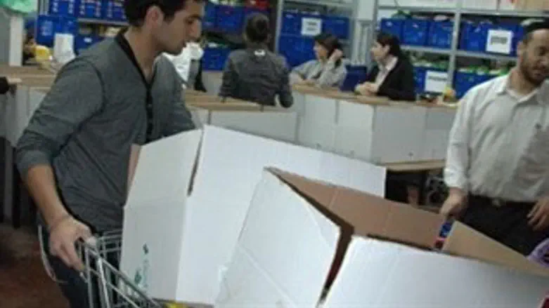 כי הזמר ועץ השדה. אלחי רפואה אורז