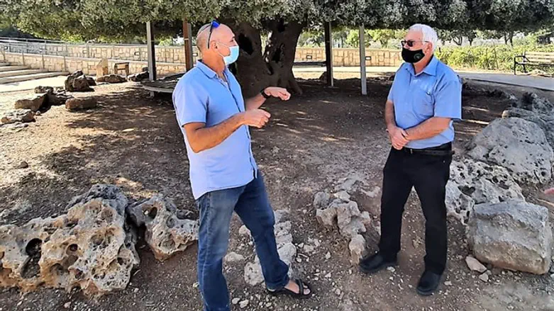 אלון שוסטר ואמיתי פורת