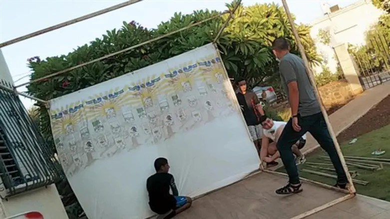 הנוער בפעולה