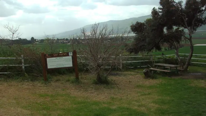 מטיילים בטבע מהבית