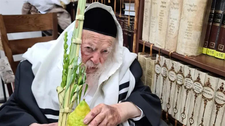 הרב קנייבסקי בביתו עם ארבעת המינים