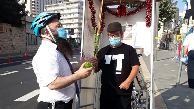 גם המפגינים נוטלים ארבעה מינים