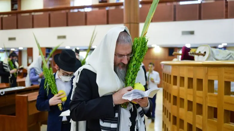 הרב ברל לזר בנטילת ארבעת המינים